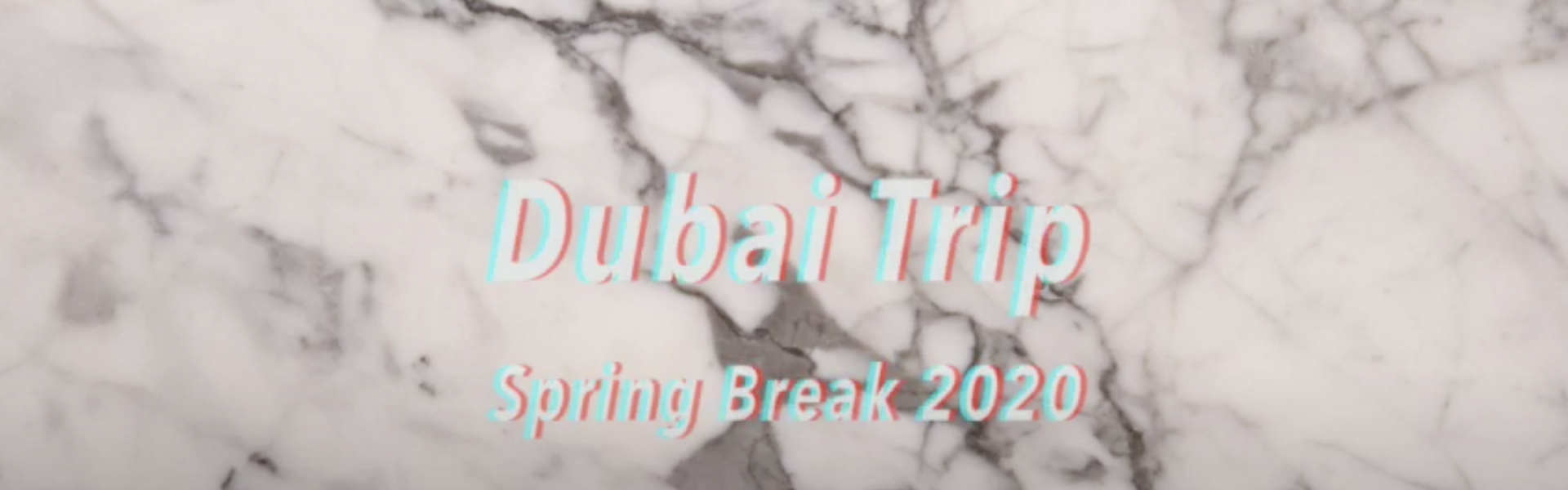 Week Vlog : Dubai + Hatta Spring Break 2020